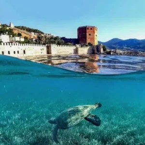 alanya city tour (8)