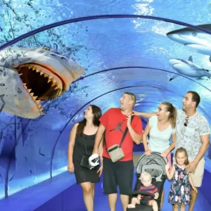 antalya aquarium tour (11)