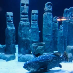 antalya aquarium tour (13)