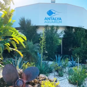 antalya aquarium tour (15)