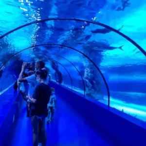 antalya aquarium tour (4)