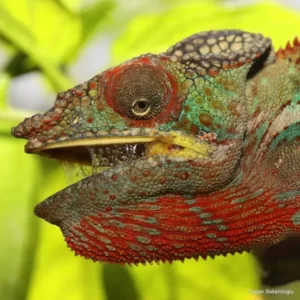 antalya aquarium tour (9)