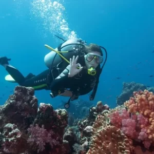 diving in alanya (3)