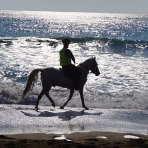 horse tour alanya (2)