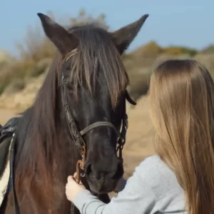 horse tour alanya (9)