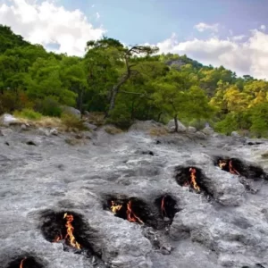 night safari with olympos fire (2)