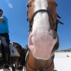 salda lake and sagalassos tour (4)