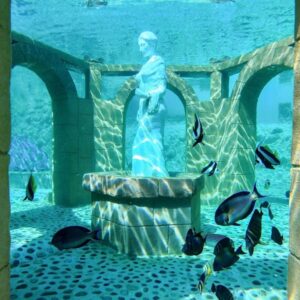 sealanya waterpark and dolphin show tour (1)