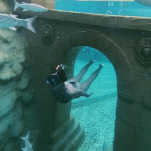 sealanya waterpark and dolphin show tour (3)