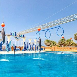 sealanya waterpark and dolphin show tour (9)