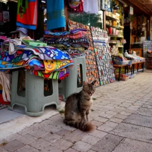 side and manavgat tour (17)