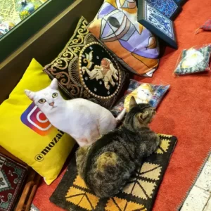 side and manavgat tour (6)